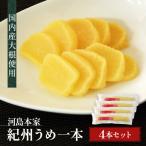 国内産 大根使用 紀州うめ一本 4本