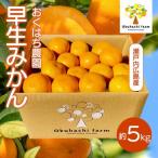 石地みかん 5kg