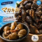 マガキ貝 チャンバラ貝 3kg
