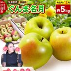 りんご ぐんま名月 約5kg