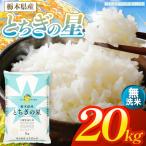 お米 とちぎの星 無洗米 20kg