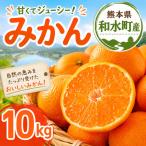 大小混合 みかん 10kg