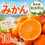 大小混合 みかん 10kg