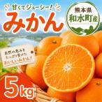 大小混合 みかん 5kg