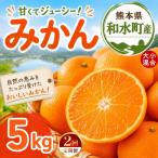 大小混合 みかん 5kg
