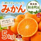 大小混合 みかん 5kg