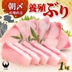 ぶり 1kg