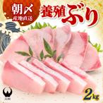 ぶり 2kg
