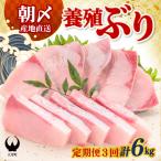 ぶり 2kg
