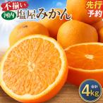 河内 塩屋みかん 4kg