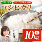 コシヒカリ 精米 10kg