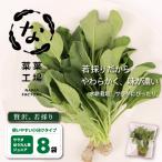 若採り サラダほうれん草 ジュニア ほうれんそう