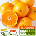 旨味凝縮有田みかん 約5kg