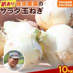 玉ねぎ 訳あり 節減対象農薬 当地比5割減