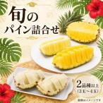 パイナップル 旬の詰合せ 3玉~4玉 約3kg