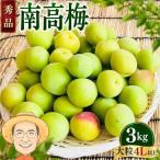 南高梅 青梅 約3kg