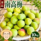 南高梅 青梅 約10kg