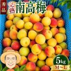 完熟 南高梅 約5kg