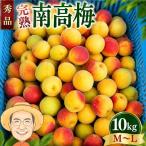 完熟 南高梅 約10kg