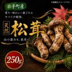 松茸 250g