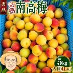 完熟 南高梅 約5kg