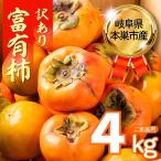 令和8年産 柿 11月~発送予定 訳あり 富有柿 4kg