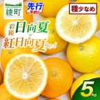 初春の旬 日向夏 種なし 5kg