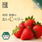 いちご 苺 紅ほっぺ 品 4パック:36~54粒