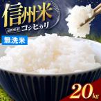 令和8年産 信州米 コシヒカリ 無洗米 20kg