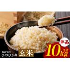 自然栽培 ひのひかり 玄米 10kg