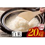 ひのひかり 米 お米 白米 20kg