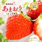 いちご あまおう 計560g
