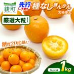 種なし きんかん 宮崎夢丸 厳選大粒 1kg