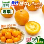 種なし きんかん 宮崎夢丸 1kg