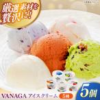 ご褒美アイスにぴったり VANAGA 5種類のアイスクリーム5個…