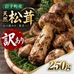 松茸 訳あり 250g