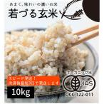 きぬむすめ 玄米 10kg