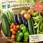 野菜 旬 詰め合わせ セット 7種