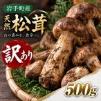 松茸 訳あり 500g