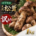松茸 訳あり 1kg