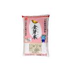 ふるさと納税 無洗米 静岡県産 JAおおいがわ 金芽米 5kg 米 こめ コメ お米 おこめ 白米 きんめまい JA きぬむすめ ご飯 ライス 静岡 静岡県 島.. 静岡県島田市