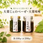 ジェノベーゼ 大葉ソース 2本セット 調味料
