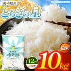 お米 とちぎの星 白米 10kg