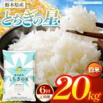 お米 とちぎの星 白米 20kg