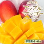 マンゴー 約2kg