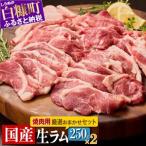ふるさと納税 焼肉用ラム肉スライス【250g×2パック、オリジナルスパイス10g】_I020-0442 北海道白糠町