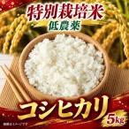 新米 コシヒカリ 5kg