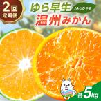 JAわかやま 紀州のゆら早生 温州みかん