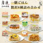 一膳ごはん 贅沢6種詰め合わせ 冷凍 総菜