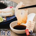 fu.... налог море .. дом. .. море .1kg(125g×8 пакет ) Kagawa префектура Takamatsu город 